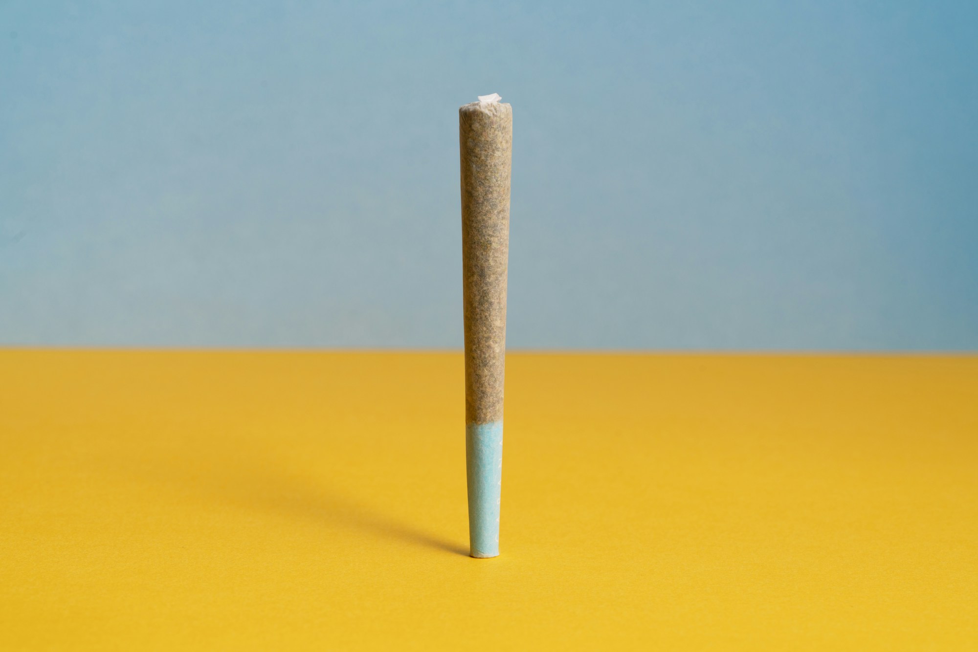 Finished flower pre-roll with a visible paper crutch
